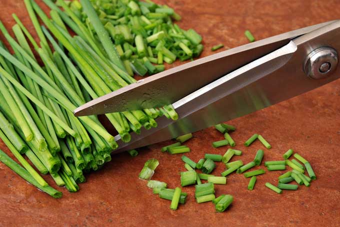 cutting with scissors